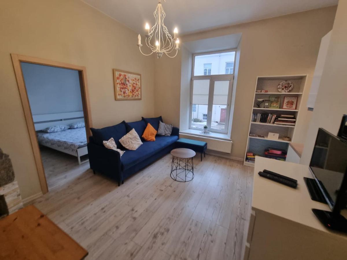 Igo Apartment Uzupis Wilna Exterior foto
